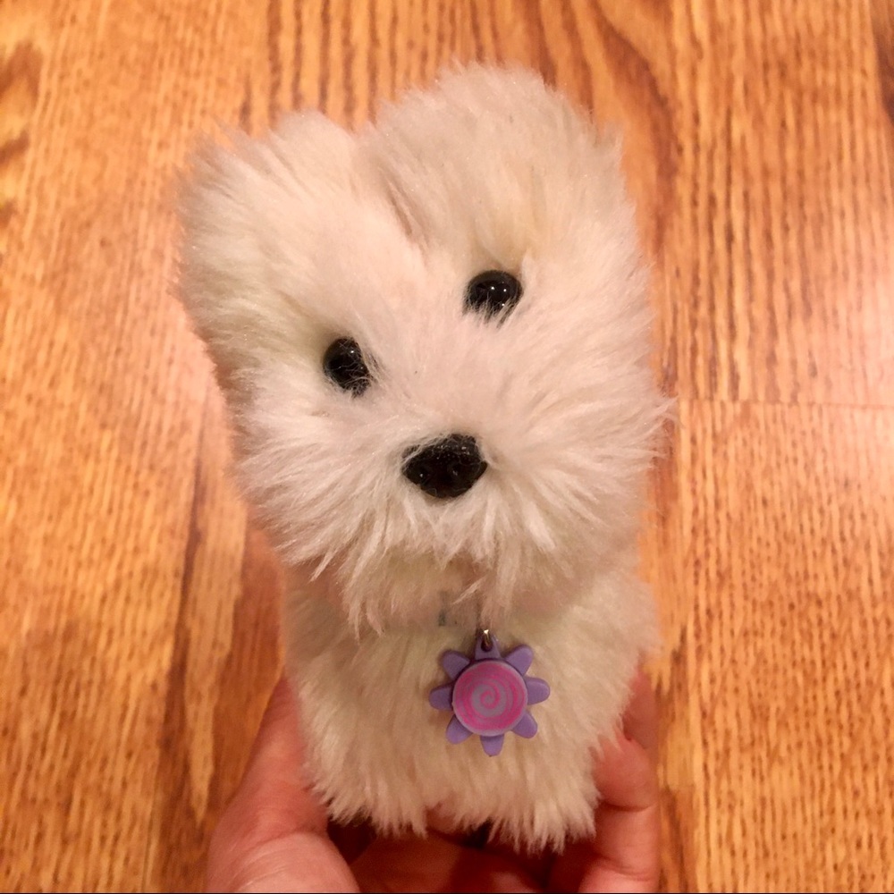 American Girl Dog - Coconut 🐶